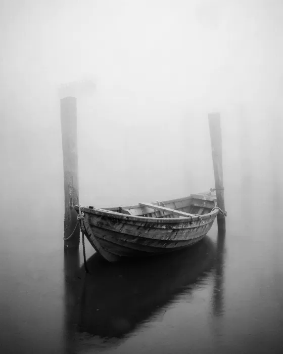 Fog Bound