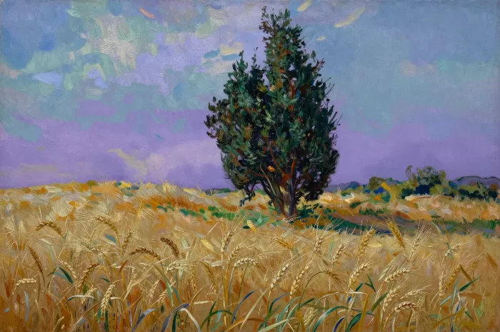 Cypress Dusk II