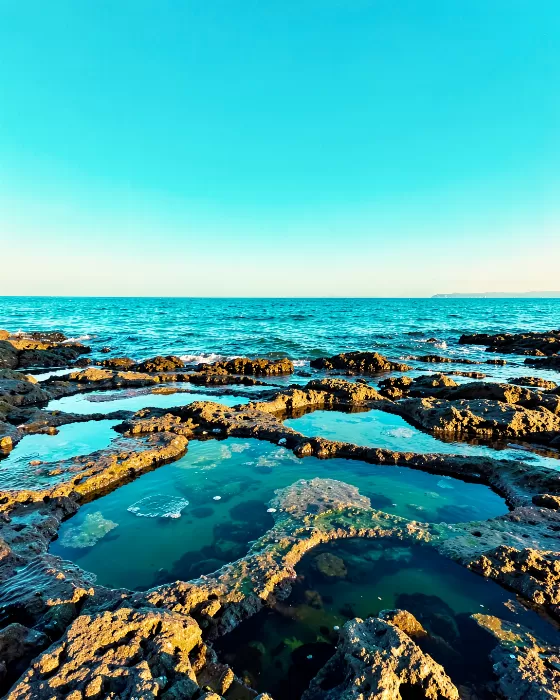 Tide Pool Light