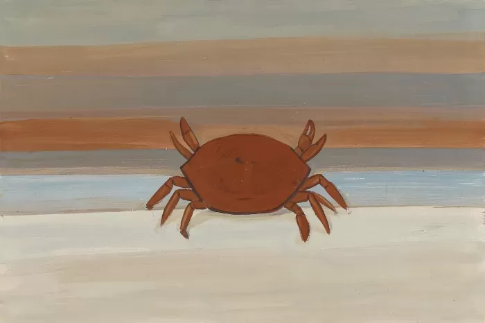 Carapace Coast