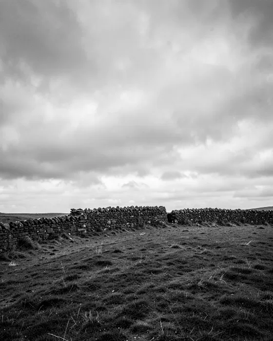 Black-and-white Fine-art