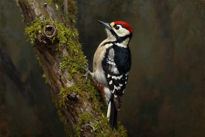 Woodpecker II