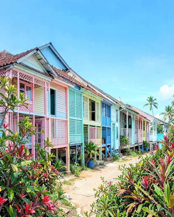 Caribbean Hues