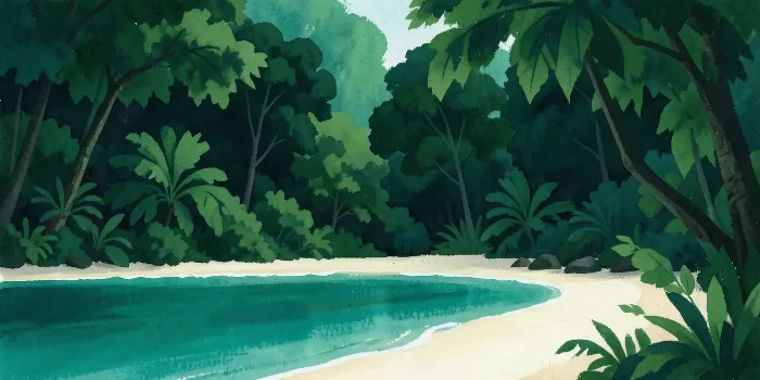 Daintree Coast