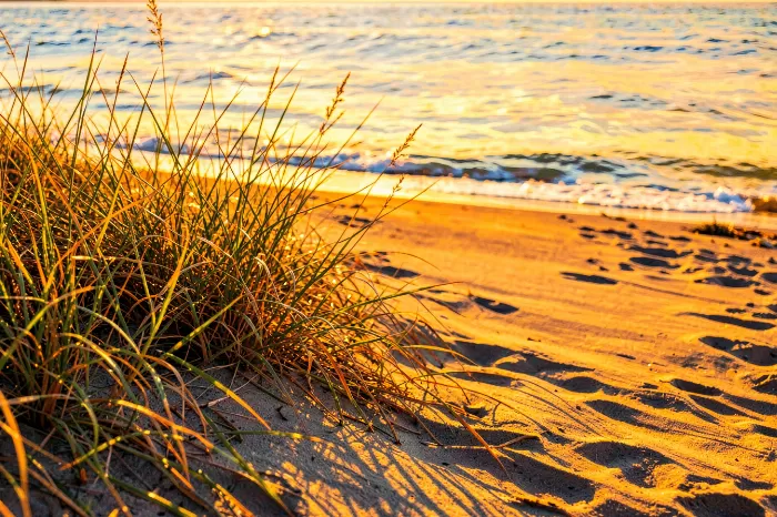 Sunlit Beach