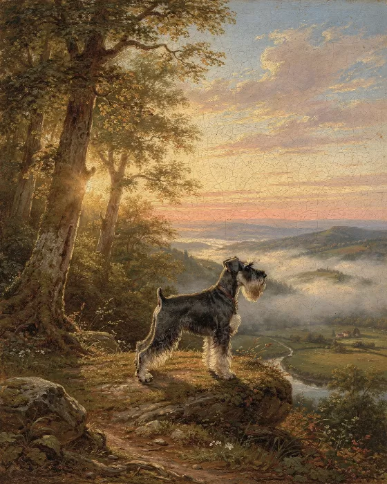 Schnauzer Vista
