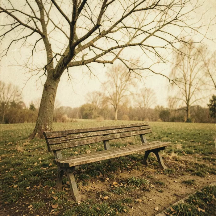 Bench And Bare