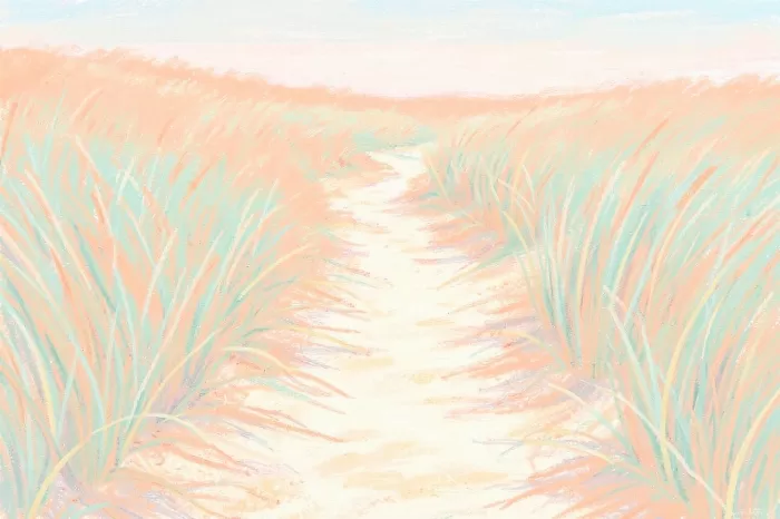 Dune Path