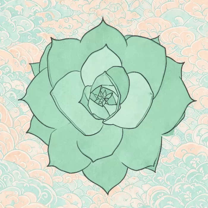 Jade Succulent