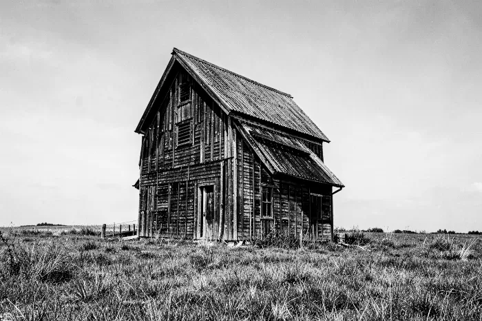 Rustic Shelter