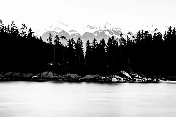 Silvery Shore