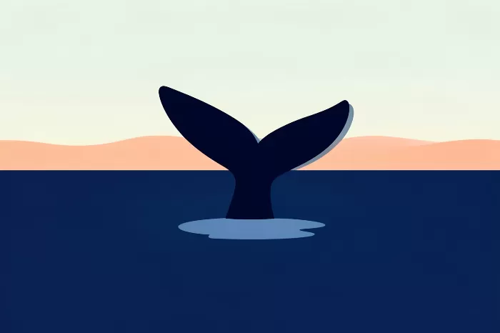 Quiet Tail