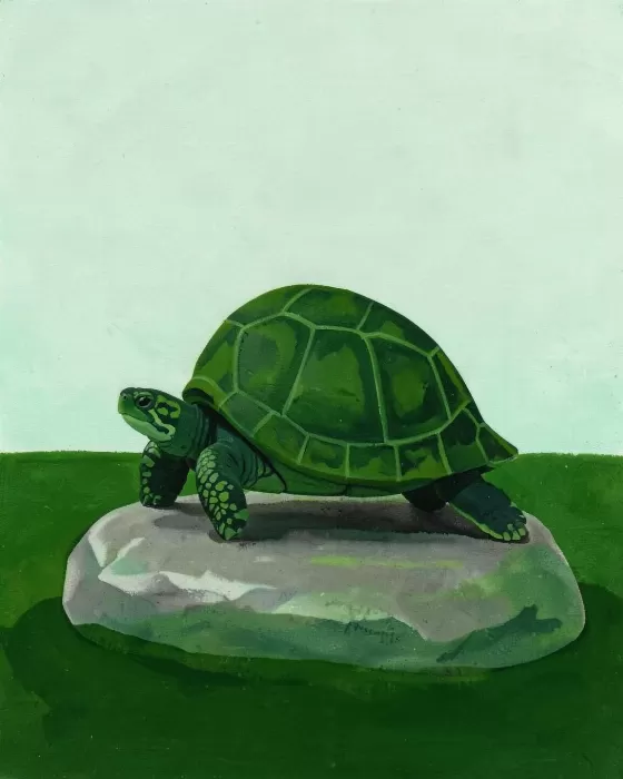 Marsh Turtle