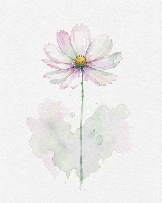 Cosmos Bloom