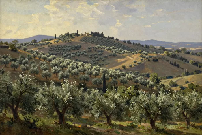Olive Valley
