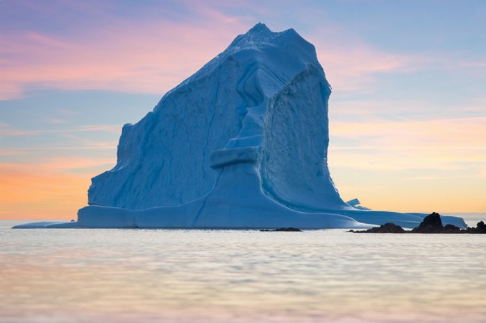 loneberg - Newfoundland art print