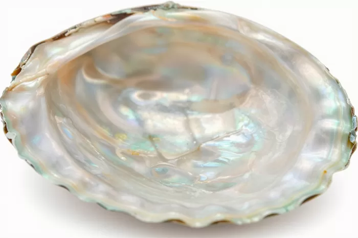 Pearl Light