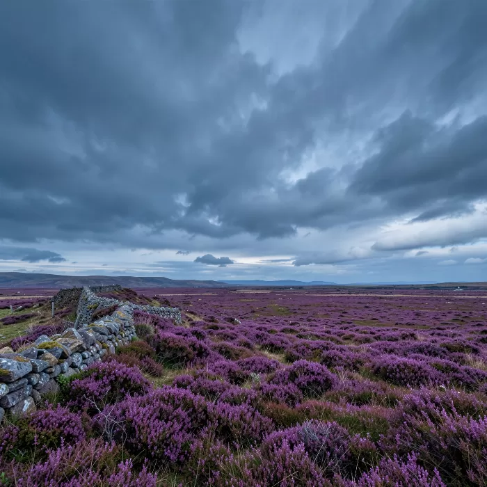 Moorland Sky