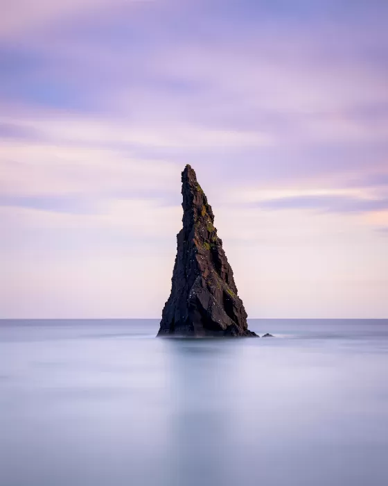 Lavender Tide