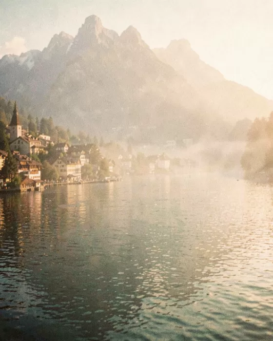 Lucerne Mist