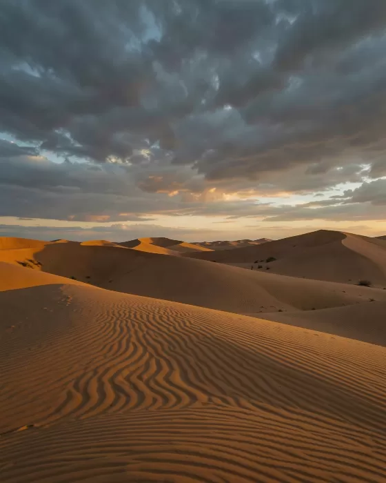 Dune Waves