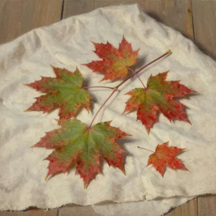 Turning Maple