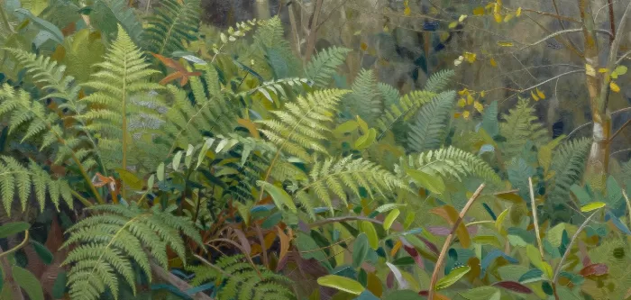 Fern Slope