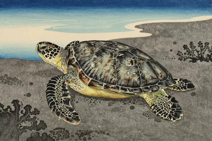 Honu Rest