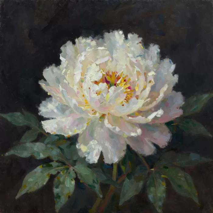Black Peony