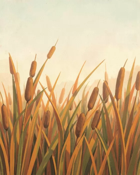 Cattail Glow