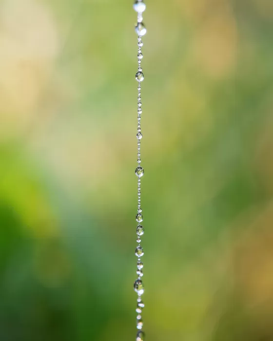 Beaded Strand