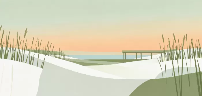 Dune Shadows