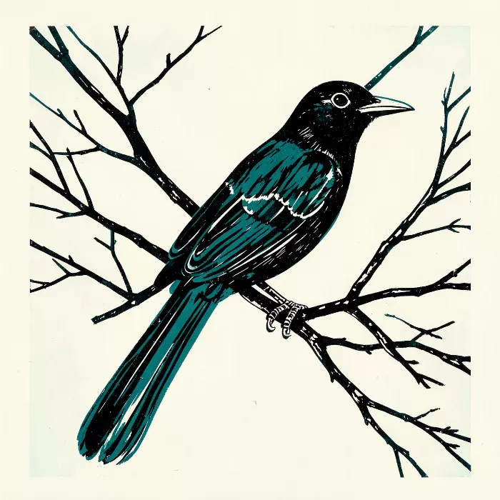 Watchful Magpie