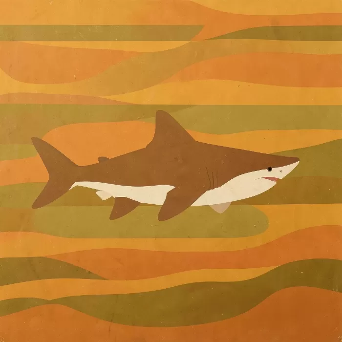 Retro Shark