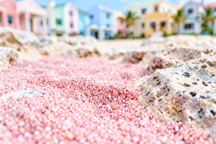 Pink Sands