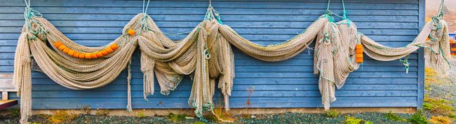 Hanging To Dry - Newfoundland art print