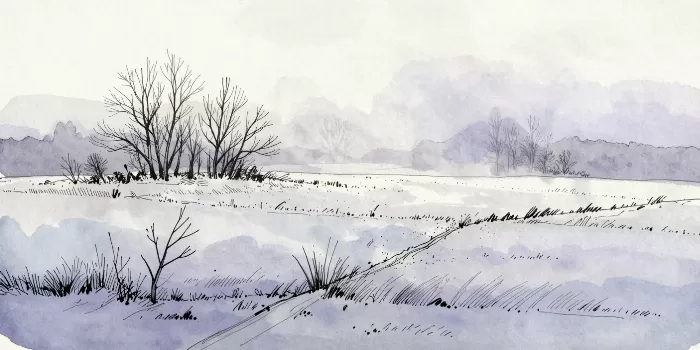 Distant Trees