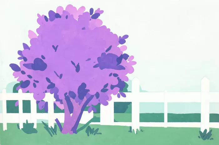 Lilac Fence
