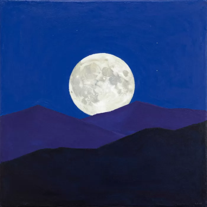 Indigo Night