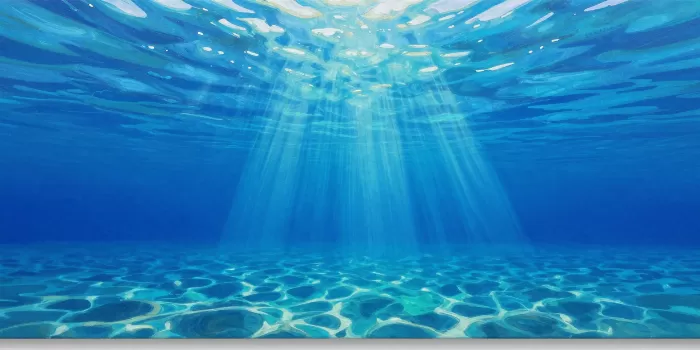 Ocean Rays