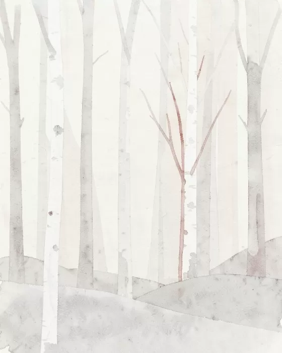 Birch Whisper