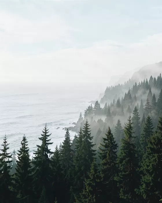 Oregon Coast