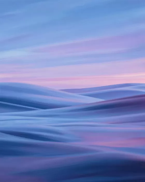 Silky Fields