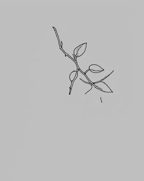 Winter Branch