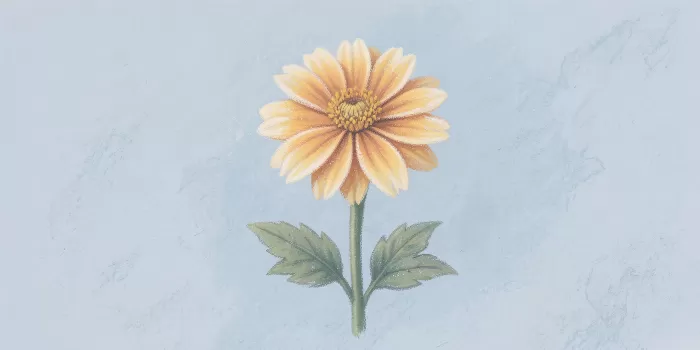 Amber Marigold