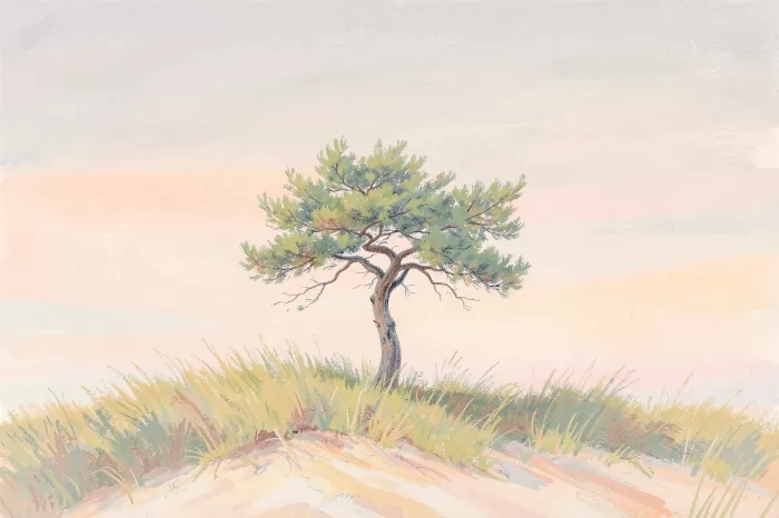 Pale Pine