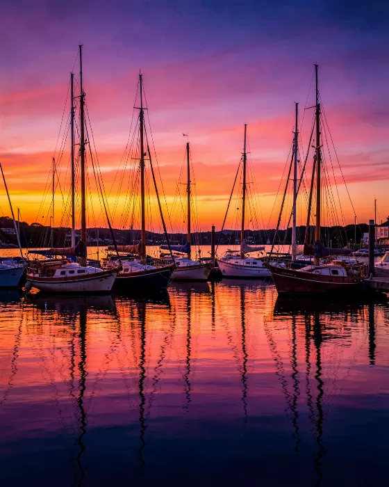 Harbour Amber