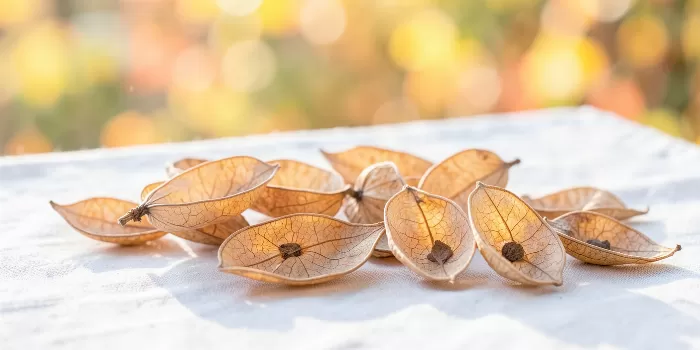 Open Pods