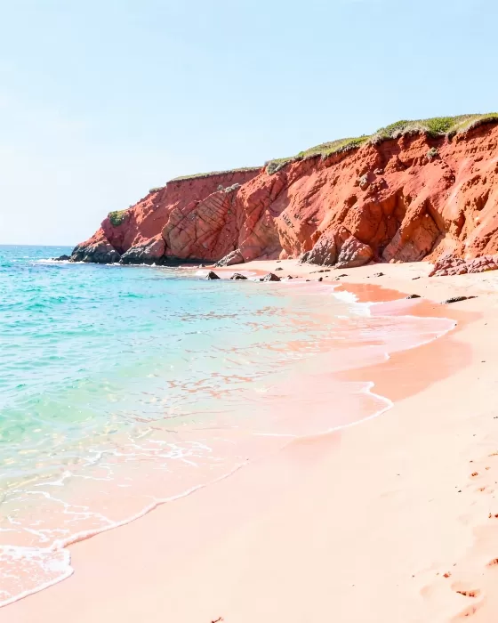 Rust Shore