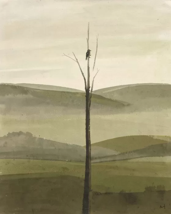 Field Note